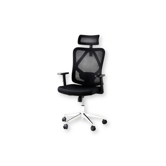 Silla Escritorio ergonomica con cabecera Soporte Lumbar Malla Negro (AHOM18)